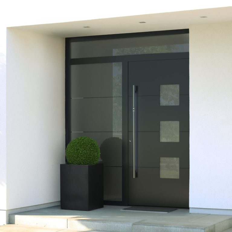 Moderne schwarze Eingangstür mit Glas und rechteckigen Griff, flankiert von einem Topf mit Hecke.