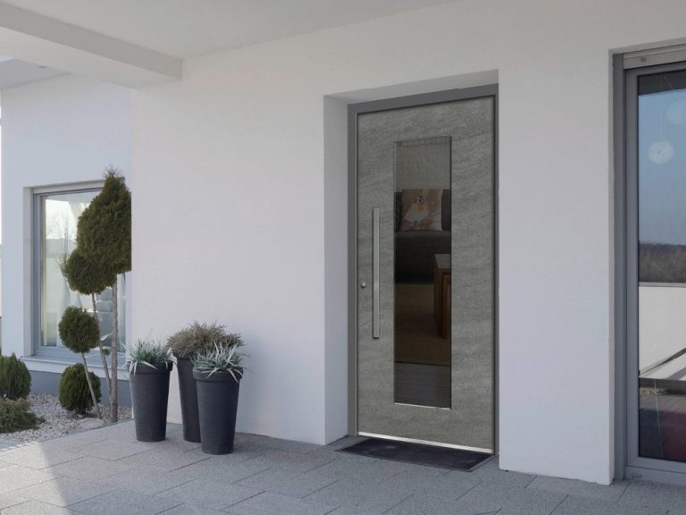 Moderne Eingangstür mit glattem Design und großen Glaseinsätzen, umgeben von Pflanzen.